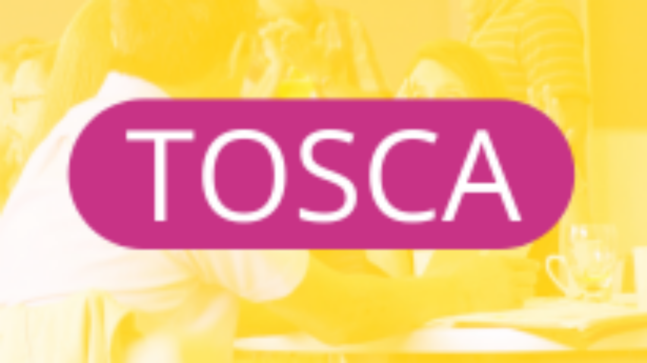 Screenshot 2026-03-04 at 09-46-18 SALTO-YOUTH - TOSCA - Training and support for organisations active in the European Solidarity Corps