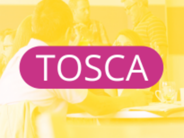 Screenshot 2026-03-04 at 09-46-18 SALTO-YOUTH - TOSCA - Training and support for organisations active in the European Solidarity Corps