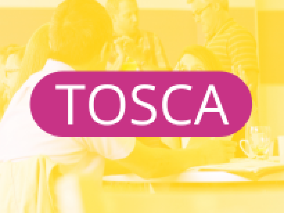 Screenshot 2026-03-04 at 09-46-18 SALTO-YOUTH - TOSCA - Training and support for organisations active in the European Solidarity Corps